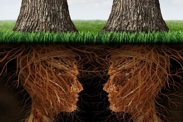 Imagem de duas árvores cuja as raízes no solo formam dois rostos