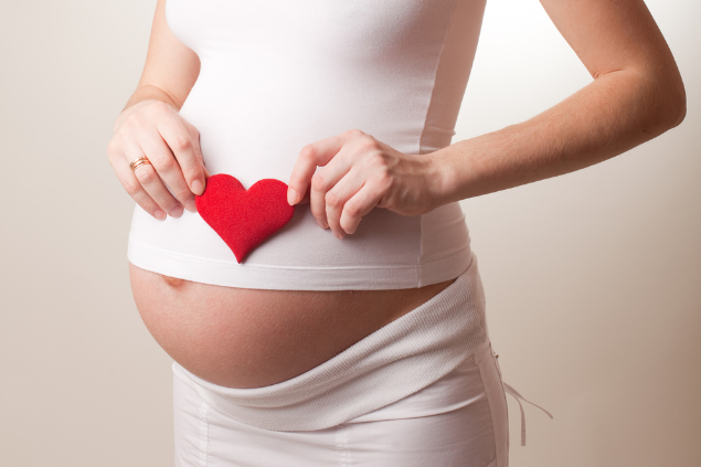 Mulher grávida segurando um coração de pelúcia em frente a barriga