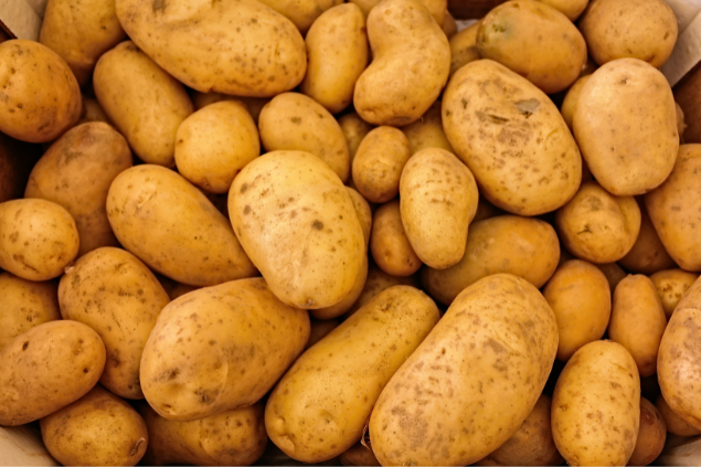 Várias batatas juntas