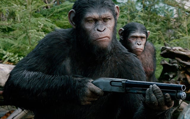 Macaco segurando uma arma